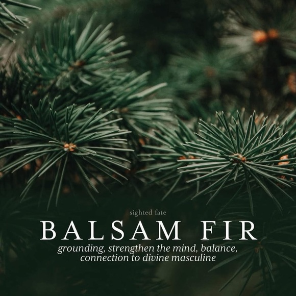 Christmas Tree Farm Tea Light Candles Set of 6 Hand Crafted - Picture 5 of 5